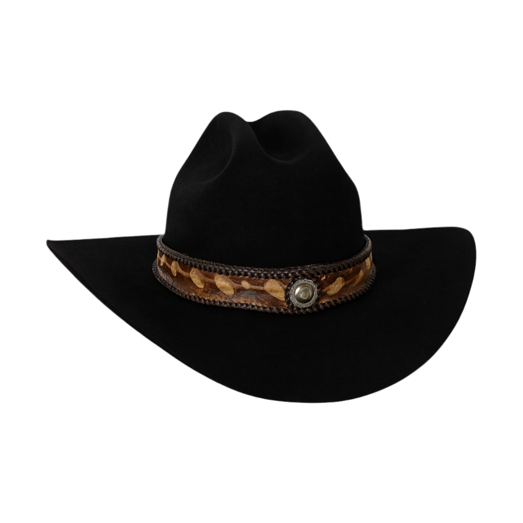 The PNW Sturgeon 100x