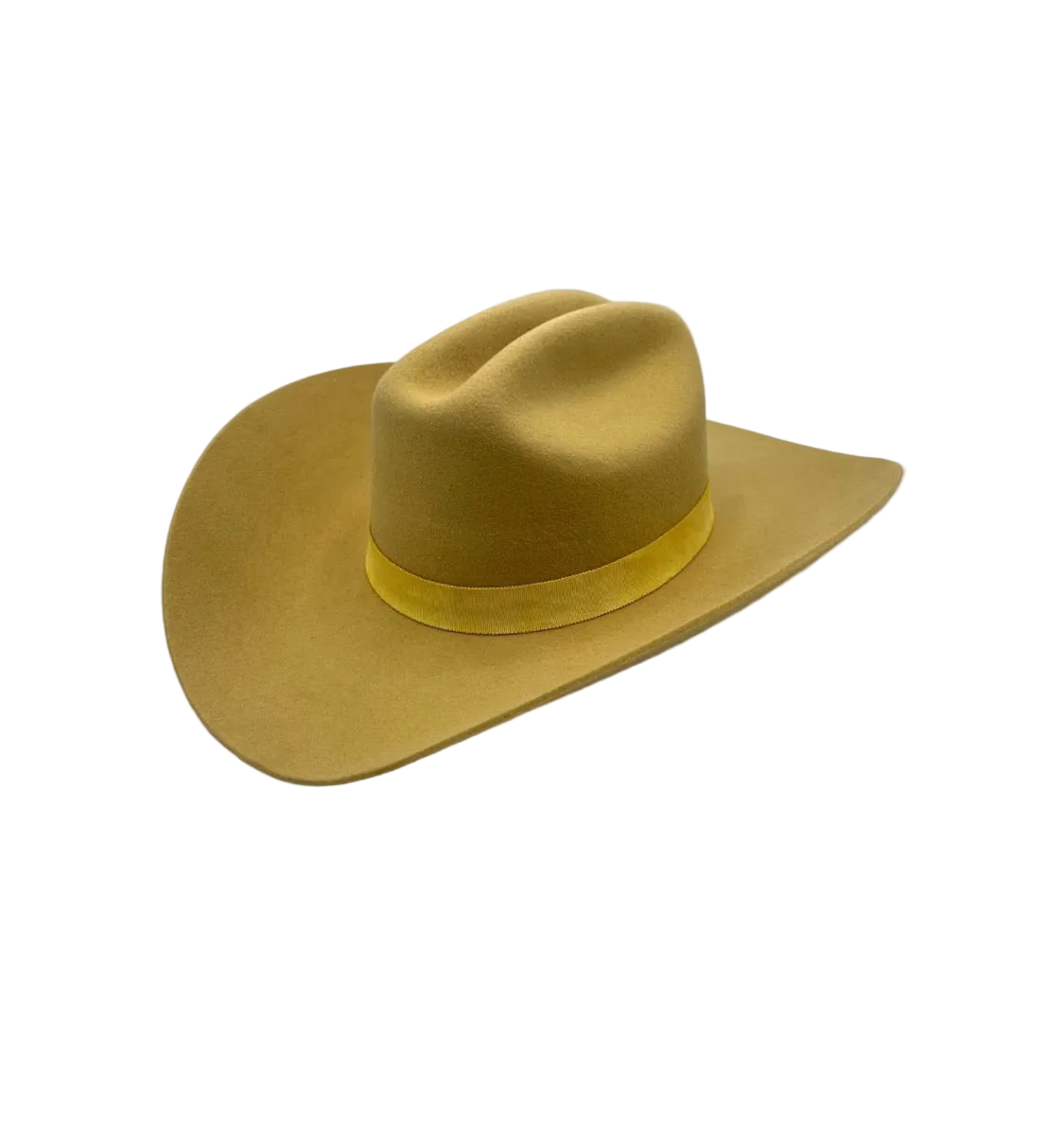 Sunshine Color Cattleman