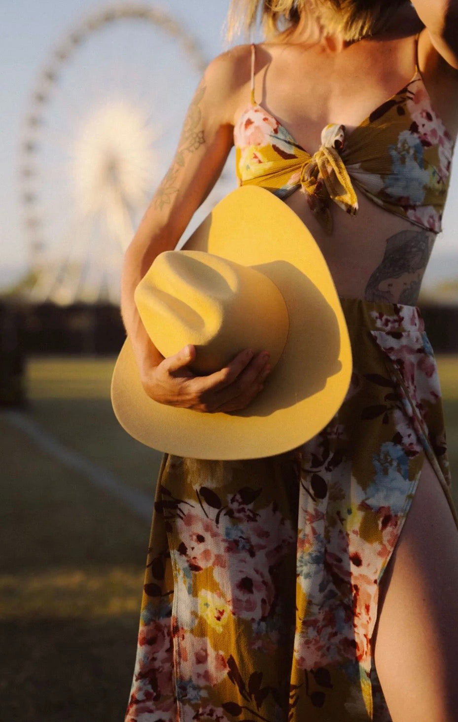 Sunshine Color Cattleman